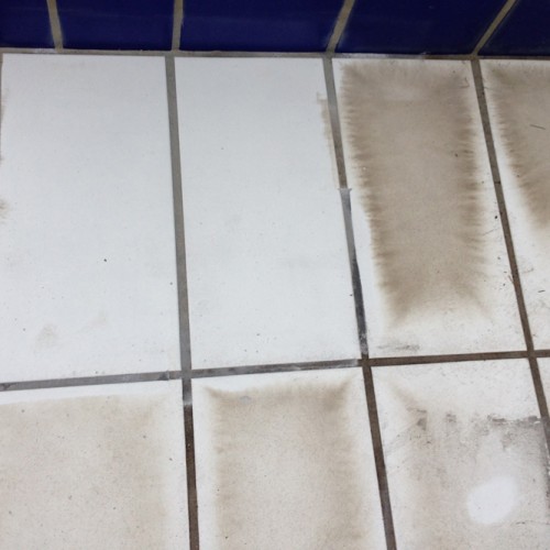 tile cleaning swimming pool.jpg